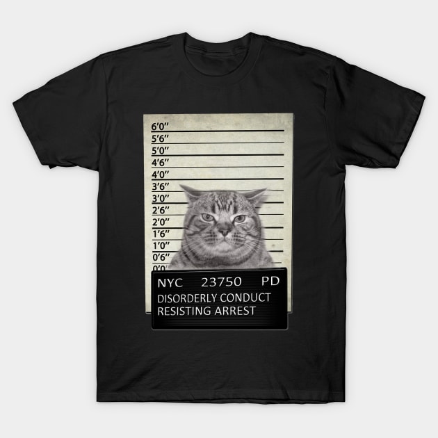 Cat Mugshot NYC T-Shirt by nafisah